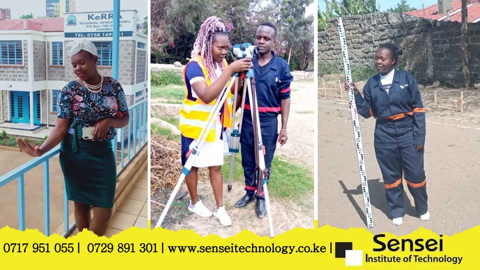 My Survey Assistant Training Journey 1 Alumni Feature